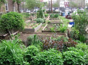 Garden in April 09